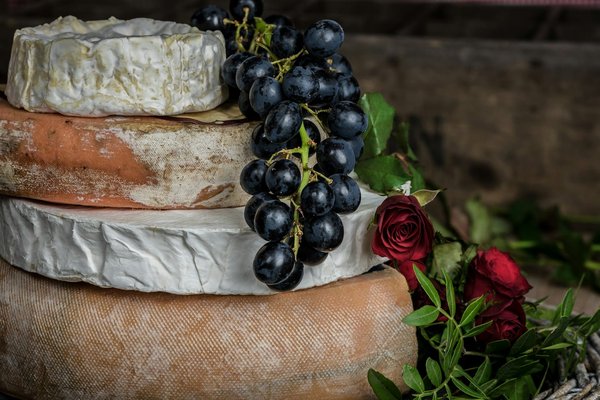 Quels sont les meilleurs circuits de dégustation de fromage en France : régions et spécialités ?